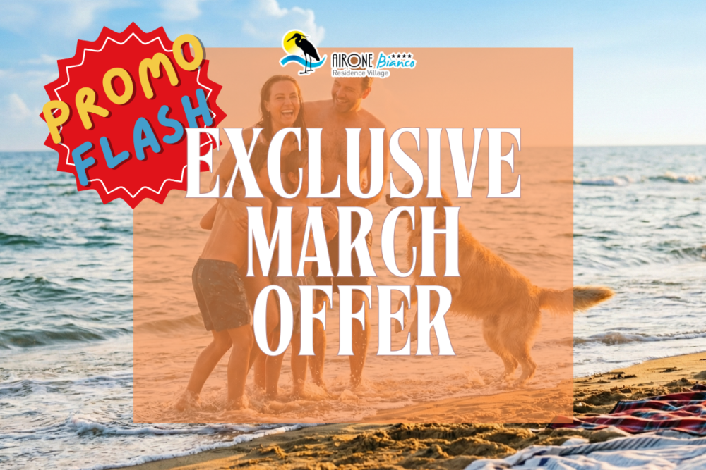march promo flash